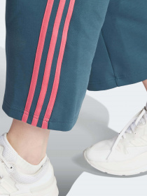 Брюки Adidas Future Icons 3-Stripes модель IM2451 Фото