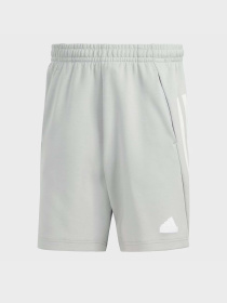 Шорты Adidas FUTURE ICONS 3-STRIPES SPORTSW модель IR9165 Фото