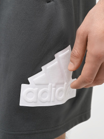 Шорты Adidas FUTURE ICONS BOS модель IR9168 Фото
