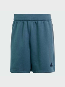 Шорты Adidas Z.N.E. PREMIUM SPORTSWEAR модель IS8359 Фото