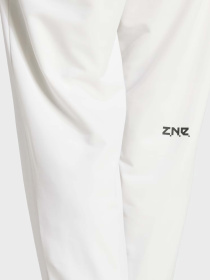 Брюки Adidas Z.N.E. WOVEN модель IN1909 Фото