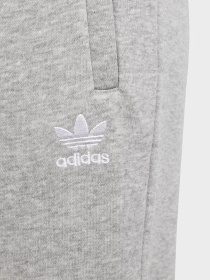 Брюки Adidas ADICOLOR модель IP3077 Фото