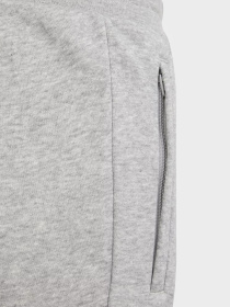 Брюки Adidas ADICOLOR модель IP3077 Фото