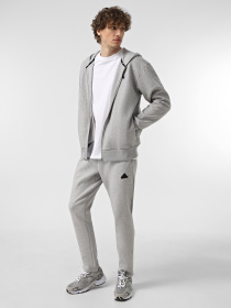 Худи и свитшоты Adidas FUTURE ICONS DOUBLEKNIT FULL-Z модель IW8597 Фото