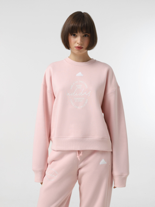Худи и свитшоты Adidas BLUV Q3 модель IY1455 Фото