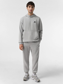 Худи и свитшоты Adidas ESSENTIALS модель H12213 Фото