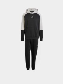 Костюмы Adidas SPORTSWEAR FLEECE COLORBLOCK модель IY0300 Фото