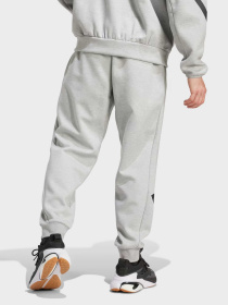 Брюки Adidas Z.N.E. модель JF2446 Фото