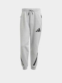 Брюки Adidas Z.N.E. модель JF2446 Фото