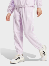Штани Adidas FUTURE ICONS 3-STRIPES POLAR S модель IW5242 Фото