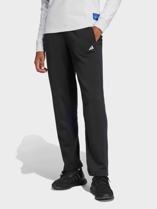 Брюки Adidas ESSENTIALS SMALL LOGO модель IW0221 Фото