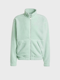 Худі та світшоти Adidas PREMIUM ESSENTIALS POLAR FLEEC модель IY2253 Фото
