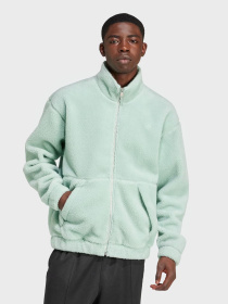 Худи и свитшоты Adidas PREMIUM ESSENTIALS POLAR FLEEC модель IY2253 Фото