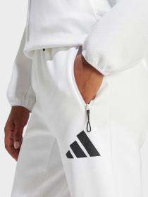 Брюки Adidas Z.N.E. SPORTSWEAR модель JE7843 Фото