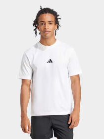 Футболки і поло Adidas ESSENTIALS SMALL LOGO SINGLE J модель JF1092 Фото
