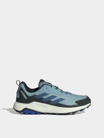 Кроссовки Adidas TERREX ANYLANDER модель JI1315 Фото