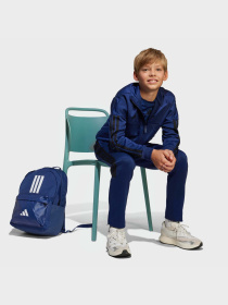 Рюкзаки Adidas CLASSIC BACK-TO-SCHOOL 3-STRIP модель IS7041 Фото