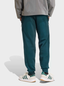 Брюки Adidas Z.N.E. SPORTSWEAR модель JW4724 Фото