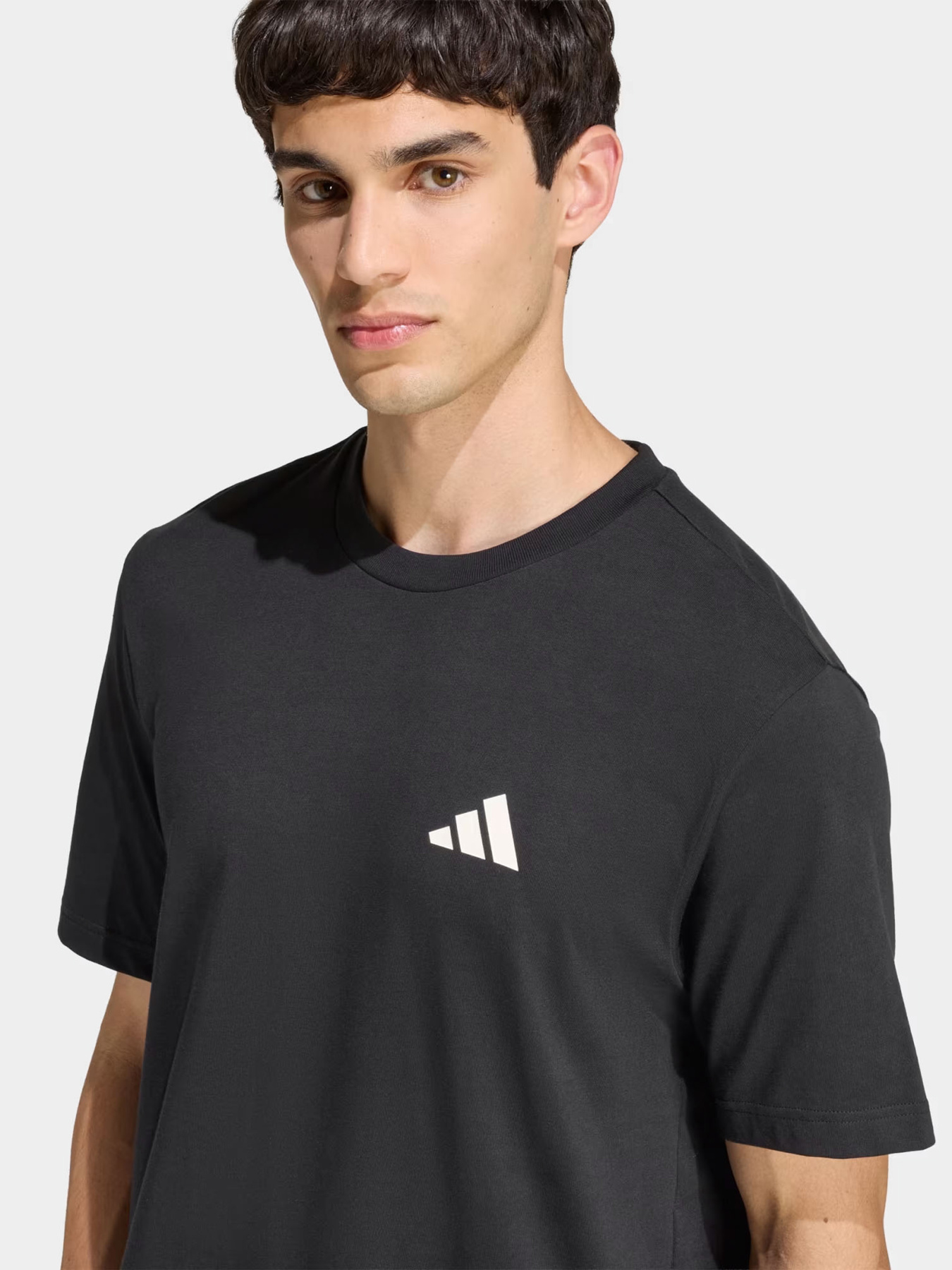 Футболки и поло Adidas OUTDOOR MOUNTAIN BIKING GRAPHI модель KB2536 Футболки и поло Adidas OUTDOOR MOUNTAIN BIKING GRAPHI модель KB2536 Фото