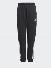 Штани Adidas Stadium Sportswear модель GJ6664 Фото