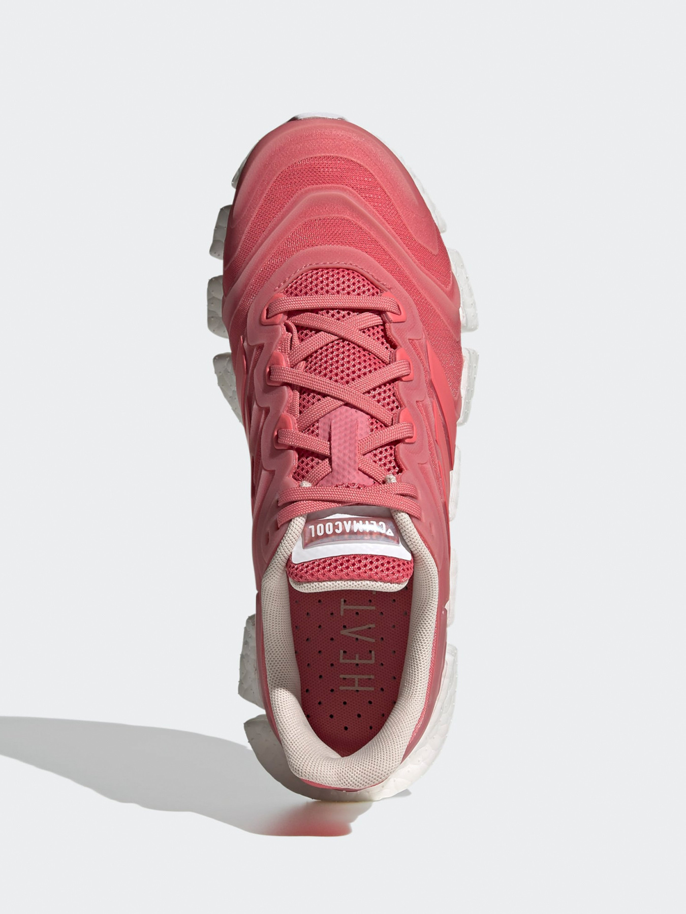 Кроссовки Adidas CLIMACOOL VENTO модель FW6841 Фото