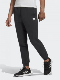 Штани Adidas BRILLIANT BASICS модель GD3868 Фото