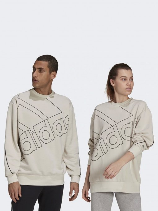 Худі та світшоти Adidas GIANT LOGO модель GK9373 Фото