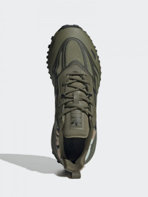 Кросівки Adidas ZX 2K BOOST 2.0 TRAIL модель GZ7784 Фото