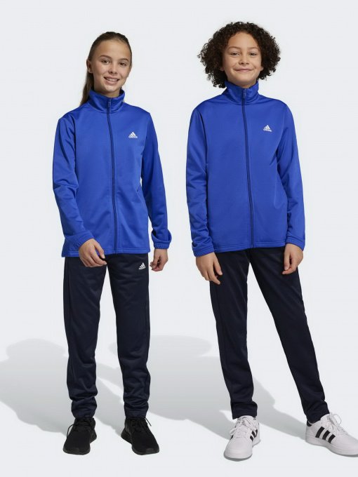 Костюми Adidas ESSENTIALS BIG LOG модель HR6408 Фото