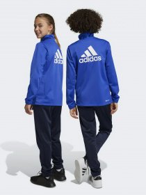 Костюми Adidas ESSENTIALS BIG LOG модель HR6408 Фото