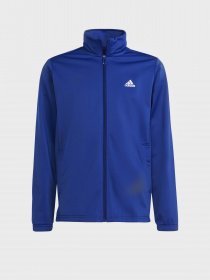 Костюми Adidas ESSENTIALS BIG LOG модель HR6408 Фото