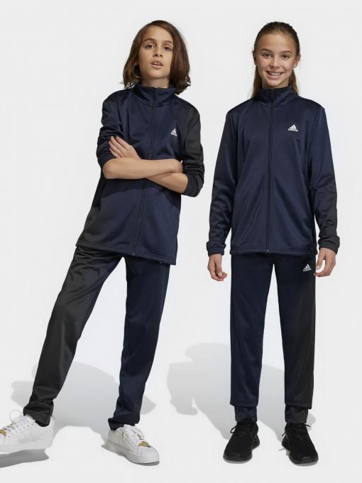 Костюми Adidas Essentials Big Log модель IC5685 Фото