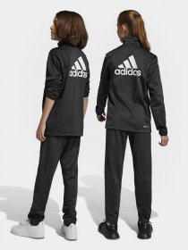 Костюмы Adidas Essentials Big Log модель IC5685 Фото