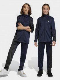 Костюмы Adidas Essentials Big Log модель IC5685 Фото