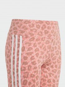 Штани Adidas Animal Allover Print High Waist модель IJ0757 Фото