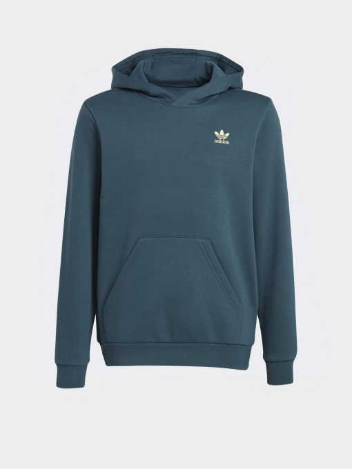 Худи и свитшоты Adidas Adicolor модель IJ9717 Фото