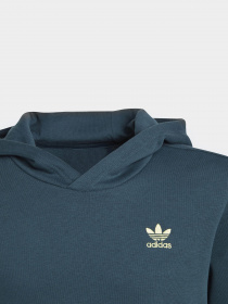 Худі та світшоти Adidas Adicolor модель IJ9717 Фото
