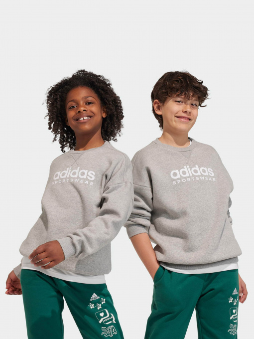 Худи и свитшоты Adidas Fleece Crew модель IL4931 Фото