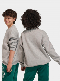 Худі та світшоти Adidas Fleece Crew модель IL4931 Фото