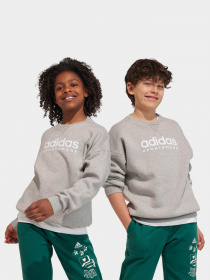 Худі та світшоти Adidas Fleece Crew модель IL4931 Фото