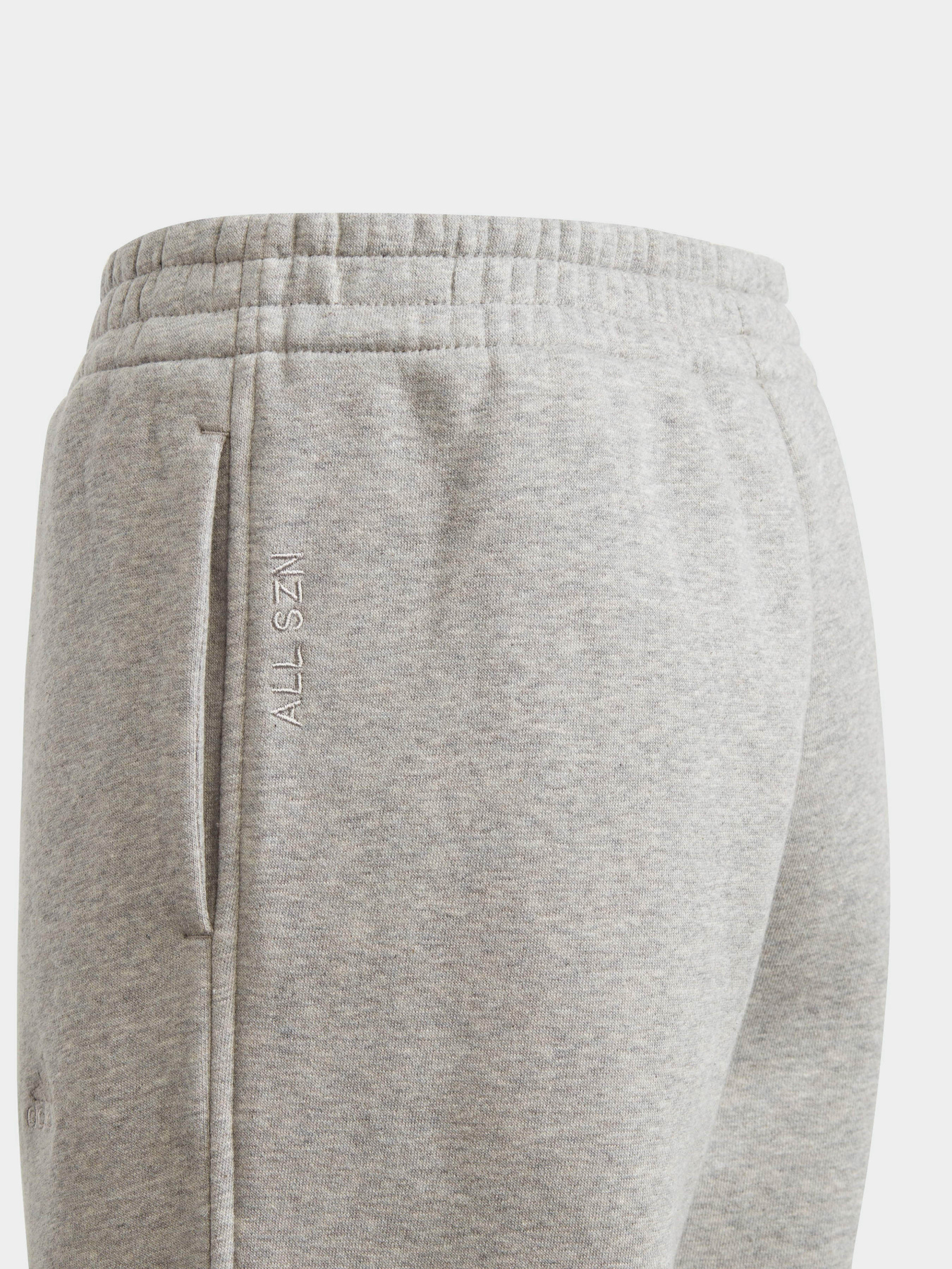 Брюки Adidas All SZN Fleece модель IL4936 Фото
