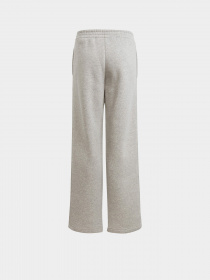 Брюки Adidas All SZN Fleece модель IL4936 Фото
