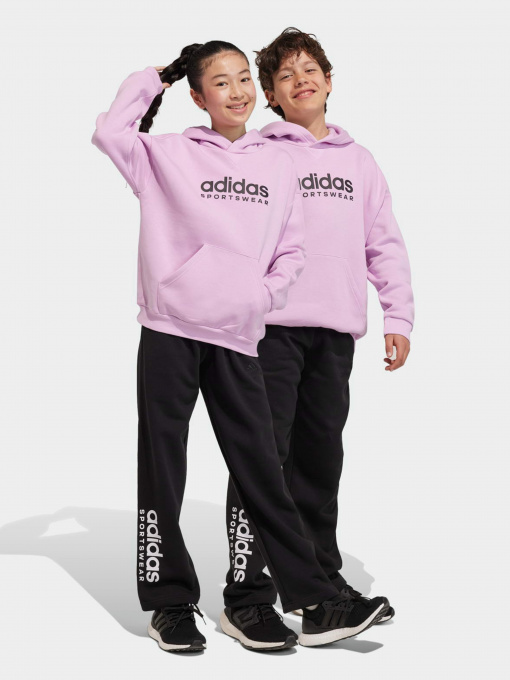 Брюки Adidas All SZN Fleece модель IL4937 Фото