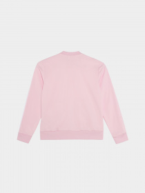 Костюмы Adidas SPRING модель IS2637 Фото