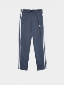 Костюмы Adidas SPRING модель IS2637 Фото