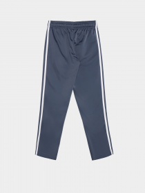 Костюмы Adidas SPRING модель IS2637 Фото