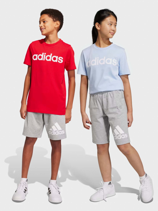 Шорты Adidas ESSENTIALS BIG LOGO COTTON модель HY4720 Фото