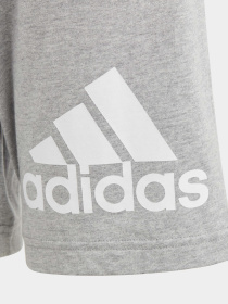 Шорты Adidas ESSENTIALS BIG LOGO COTTON модель HY4720 Фото