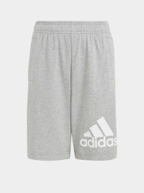 Шорты Adidas ESSENTIALS BIG LOGO COTTON модель HY4720 Фото