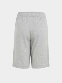 Шорты Adidas ESSENTIALS BIG LOGO COTTON модель HY4720 Фото